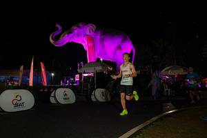 BIB: 
                            <button type="button" onclick="openModal(26542873)" class="btn btn-primary btn-sm float-right btn-popup" data-toggle="modal" data-target=".modal-high-quality">
                        <i class="fas fa-shopping-cart"></i> Add to Cart
                    </button>
                                            <button type="button" onclick="isThisMe(26542873, true)" class="btn btn-success btn-sm float-right btn-popup btn-isme hidden" data-toggle="tooltip" data-placement="bottom" title="นี่คือรูปของคุณใช่ไหม คลิกที่นี่เพื่อเอาเข้าอัลบั้ม">
                        <i class="fas fa-plus"></i> Add to album
                    </button>
                    <button type="button" onclick="isThisMe(26542873, false)" class="btn btn-warning btn-sm float-right btn-popup btn-isnotme hidden">
                        <i class="fas fa-ban"></i> Remove from album
                    </button>